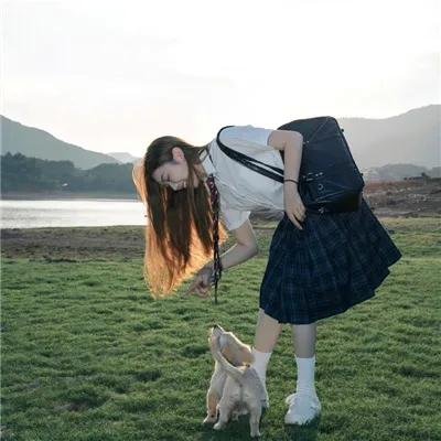 天狼星的传说