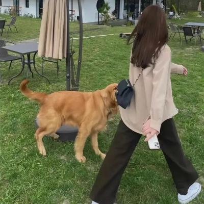 见习女警